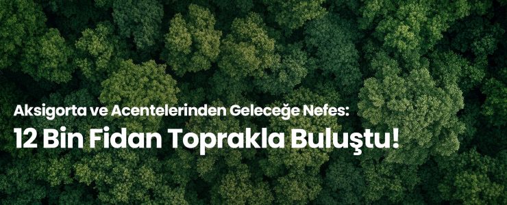 12 Bin Fidan Toprakla Buluştu