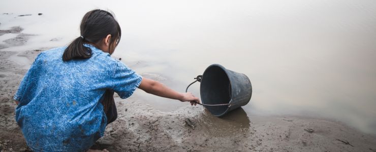Su ve Orman: Doğanın, Refahın ve Eşitliğin Temel Taşları