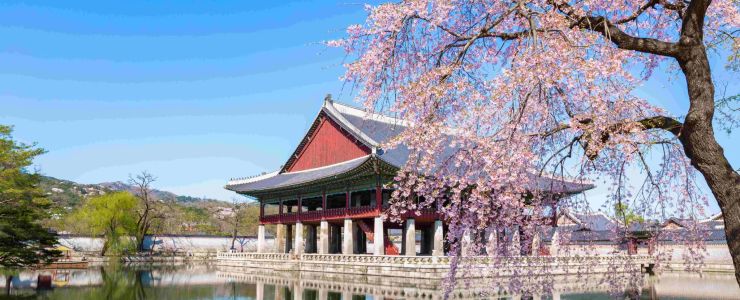 Uzak Doğu'nun Yükselen Yıldızları: Japonya ve Güney Kore