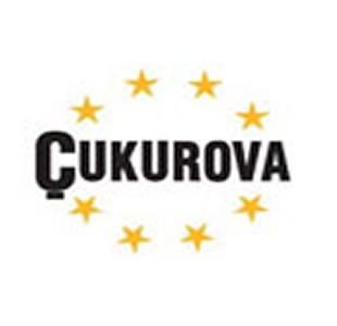 Çukurova Grubu'nun medya kuruluşlarına ortak geliyor
