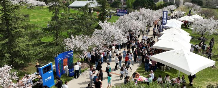 Sabancı Üniversitesi'nde Japonya Rüzgarı