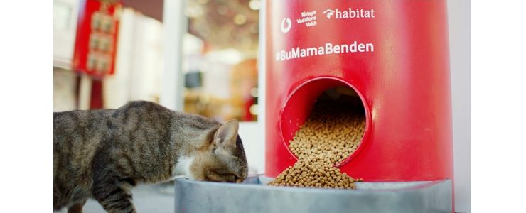 Türkiye Vodafone Vakfı'ndan "Salgında Sokak Hayvanlarını Unutma" çağrısı