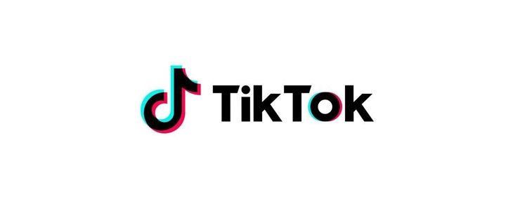 TikTok 2020’de ‘Güvenliğe’ odaklandı 