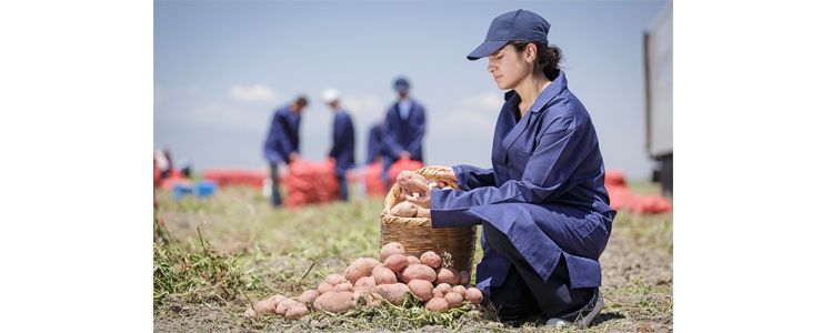 PepsiCo Türkiye, iyi örnekleriyle PepsiCo dünyasına ilham veriyor