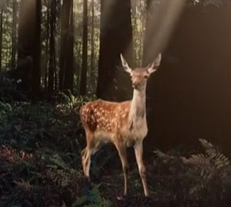 Vitra'dan yeni reklam... 