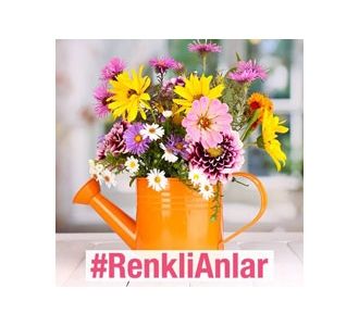 Filli Boya Instagram'da kazandırıyor