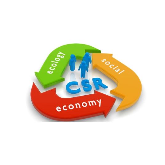 term paper on corporate social responsibility term paper on corporate social responsibility