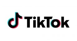 TikTok, 175,3 milyon videoyu kaldırdı