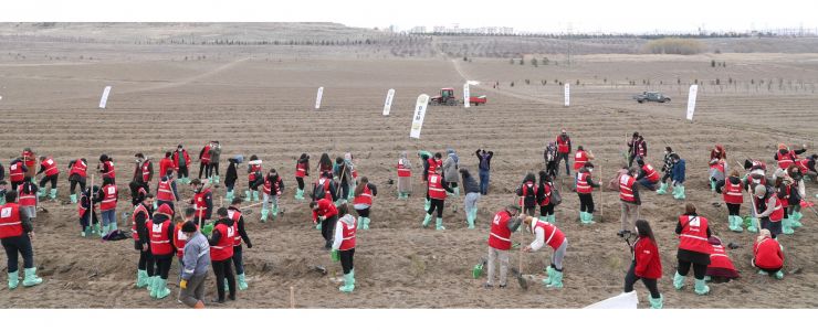 1.5 MİLYON KAN BAĞIŞÇISI ADINA 4.7 MİLYON FİDAN DİKİLDİ